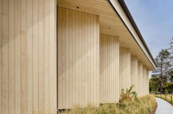 Tấm ốp gỗ thông ngoài trời Lavie Pine ốp tường sân vườn