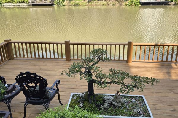 Báo giá sàn câu gỗ ven nước có lan can với giải pháp bền vững