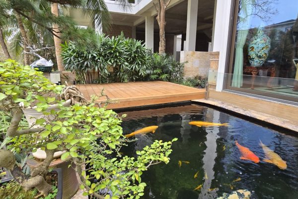 Ứng dụng sàn gỗ thông ngoài trời cho hồ bơi, hồ Koi, sân vườn, ban công và resort