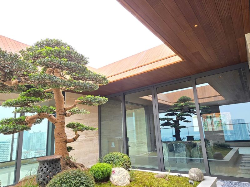Tấm ốp tường bằng gỗ thông Lavie Pine tại công trình Penthouse Đội Cấn